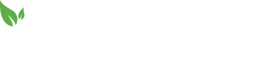 Paleovalley