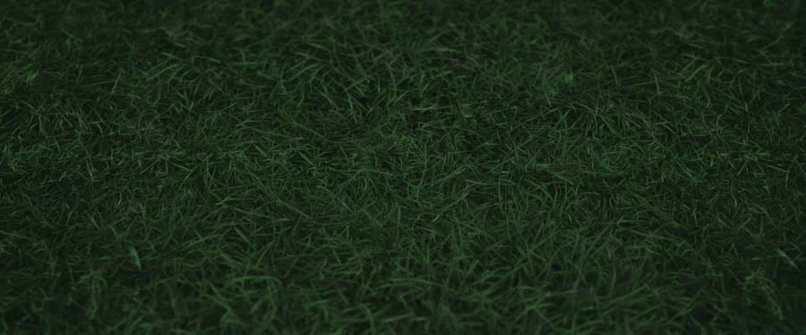 Grass