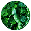 Ingredient