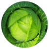 Ingredient
