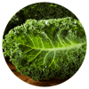 Ingredient