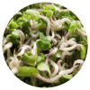 Ingredient