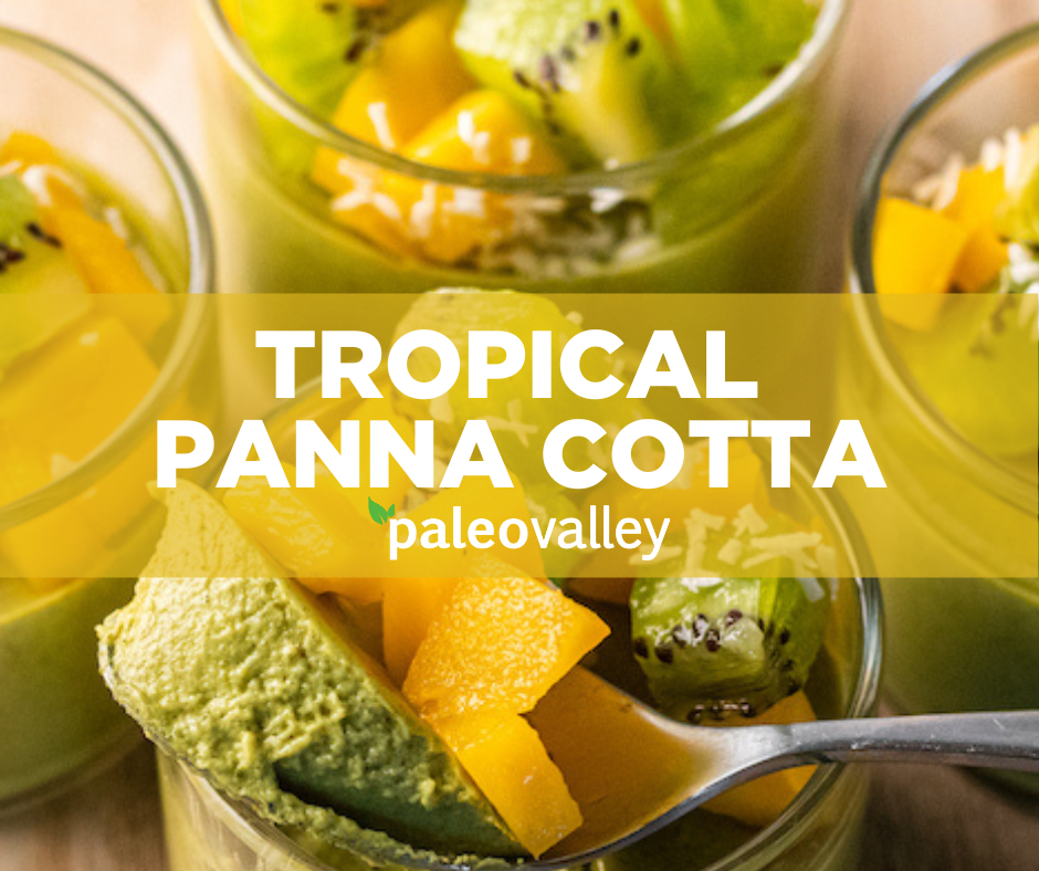 Paleovalley Tropical Panna Cotta Recipe